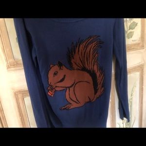 Squirrel sweater